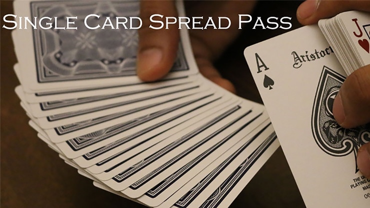 �ڥ���������ɡ�Single Card Spread Pass by Vivek Singhi