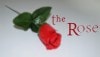 【ダウンロード】The Rose by Sandro Loporcaro (Amazo)