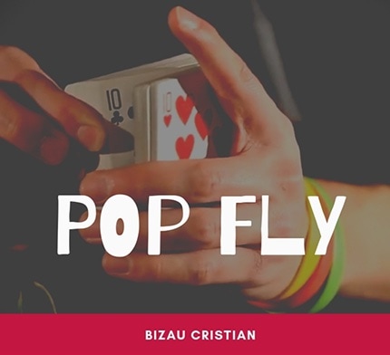 �ڥ���������ɡ� Pop Fly - The Vault