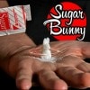 Sugar Bunny (奬Хˡ) by Steve Fearson