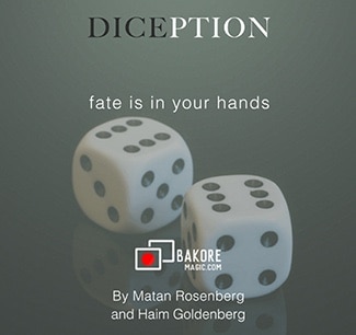 ڥɡ Diception by Haim Goldenberg & Matan Rosenberg mixed media - The Vault