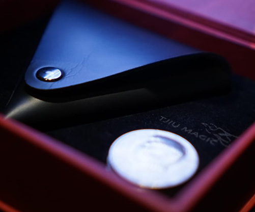 Vega ＝BROWN＝（シリンダ＆コインの大変革）by Handy Altan & Agus