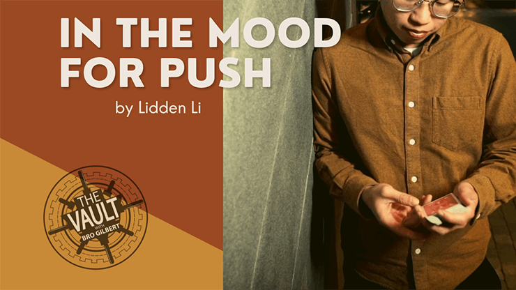 ڥɡIn The Mood For Push by Lidden Li - The Vault