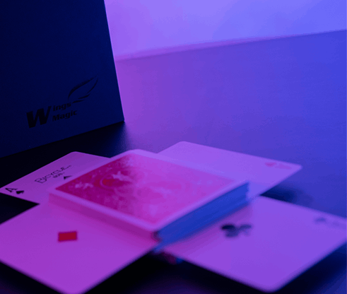 The Haunted Deck PRO : BLUE （超静音！電動ホーンテッドデック：青