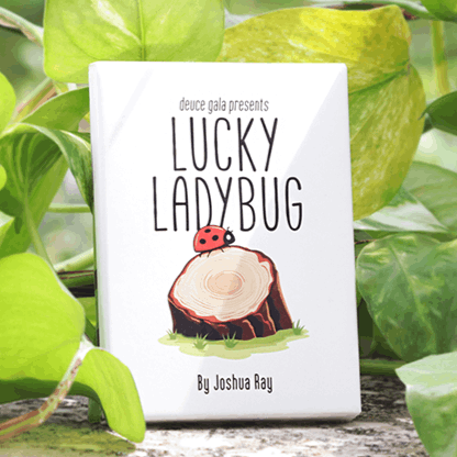 Lucky Ladybug (�ѵҤμ�˸����ƥ�ȥ��ॷ��by Joshua Ray & Deuce Gala Magic