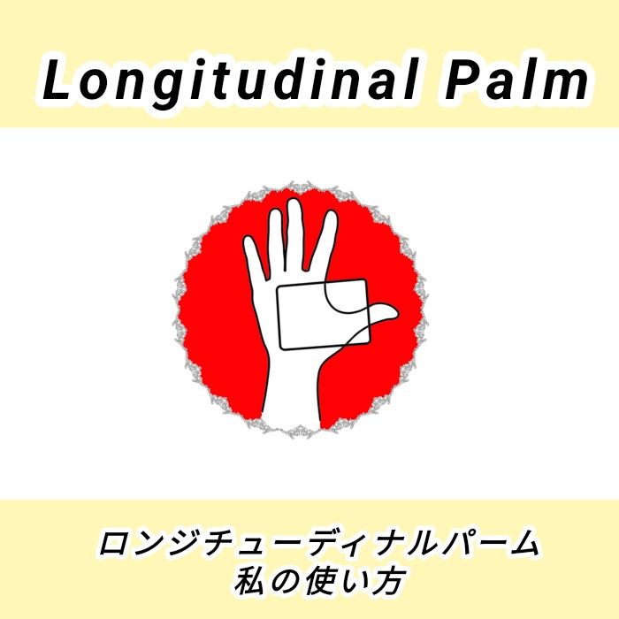 󥸥塼ǥʥѡ λȤ by ɵͤ