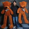 �ڤ����󤻡�Teddy Bear Appearance (�ƥǥ��٥��νи�) by MS Magic