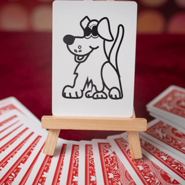 Magical Visions����ˡ�Υ��饹�ȡ�by Matthew Wright