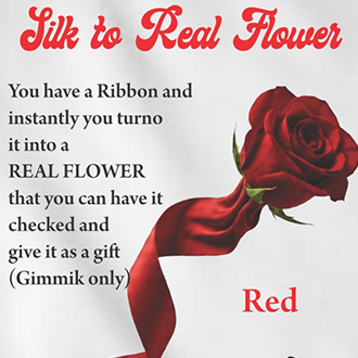 Silk to Real Flower - RED（手渡し可能な花になるシルク）by Juan