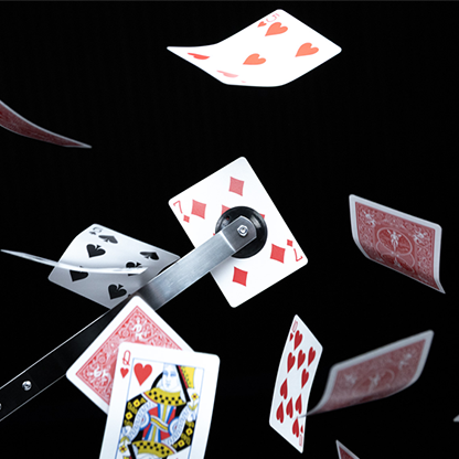 �ں�����ͽ���Sky Catch�ʶ��楫���ɥ���å���by Taylor Hughes