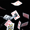 �ں�����ͽ���Sky Catch�ʶ��楫���ɥ���å���by Taylor Hughes