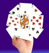 Gary Plants �ޥ��ͥ�������������