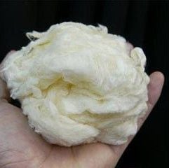 �ե�å��女�åȥ�ʴ�����֤���9���