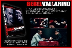BEBEL VALLARINO : Inspiration (�ե�С������:PAL����)