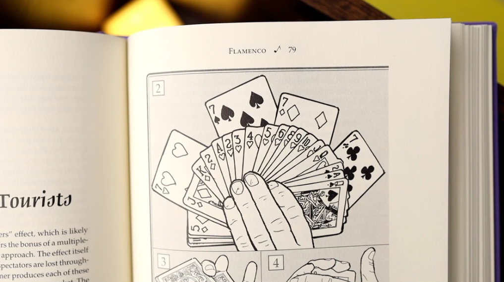 ���ν��Juan Tamariz's Flamenco by Stephen Minch (Standard Edition)