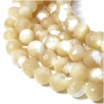 �ڥޥ������֥ѡ��� 6mm�� ŷ���� �ӡ���(�ե����åȥ��å�) 18cmϢ
