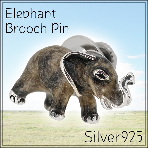  ����ե���� ����С� �ԥ�֥�����