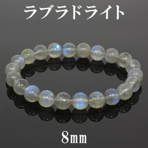  8mm 17cm ���ʼ� ��֥�ɥ饤�� �֥쥹��å� (��ǥ�����M������)
