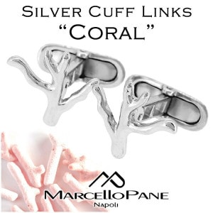 ��Marcello Pane�� ���� ����С� ���ե��ܥ���