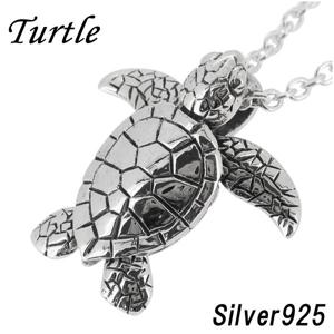 ���ߥ��� ����С� �ͥå��쥹