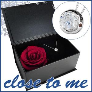  ̵ close to me 쥻ȥࡼ 륳˥ åɥ С ǥͥå쥹 ե