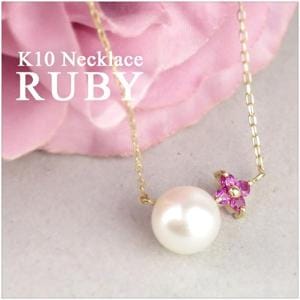  K10 ������� ø��ѡ��� ��ӡ� �ܥ��˥��� �ͥå��쥹 10��