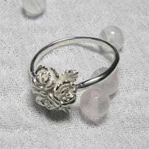 �����ʥХ�Υ֡��� ����С���� 7���13�� ���� ��� Ring��� ��ǥ����� ������������ �ץ쥼��� �͵� ���襤�� �������