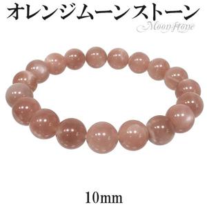 󥸥ࡼ󥹥ȡ ֥쥹å 10mm 18cm  6 ŷ ѥȡ ࡼ󥹥ȡ  ࡼ󥹥ȡ֥쥹å