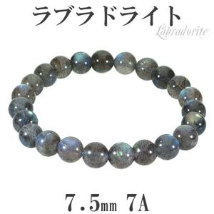 ��֥�ɥ饤�� �֥쥹��å� 7A ���졼�� 7.5mm 16.5cm ��ǥ�����S ������ ŷ���� �ѥ���ȡ��� �֥롼 ���꡼�� ��֥�ɥ饤�ȥ֥쥹