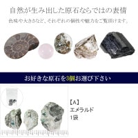 化石入り天然石　 置物 Amazon.co.jp: 恐竜 骨 グッズ 化石 オブジェ 化石標本 置物 レプリカ
