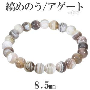 ������ �ܥĥ�ʥ������� �֥쥹��å� 8.5mm 16��18cm S��L ������ �������� ��Υ� �� �ʥ�Υ� ŷ���� �ѥ���ȡ��� ��Τ� ���