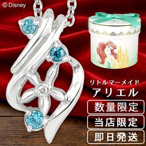 �ǥ����ˡ� ��Ź���� ��ȥ�ޡ��ᥤ�� ���ꥨ�� �ͥå��쥹 ���� ���� ���ե������ �ǥ����ˡ��ץ�󥻥� Disney ���å� ��������� �ɥ��å� ��