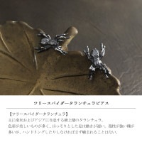 Cold I's ツリースパイダー タランチュラ ピアス 2P 両耳用 シルバー