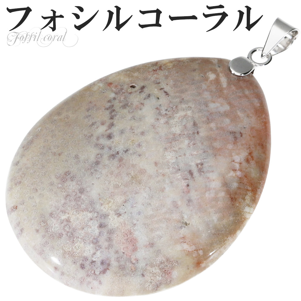 フォッシルコーラルペンダントトップ フォシルコーラル シルバー ペンダントトップ トップのみ フォッシル