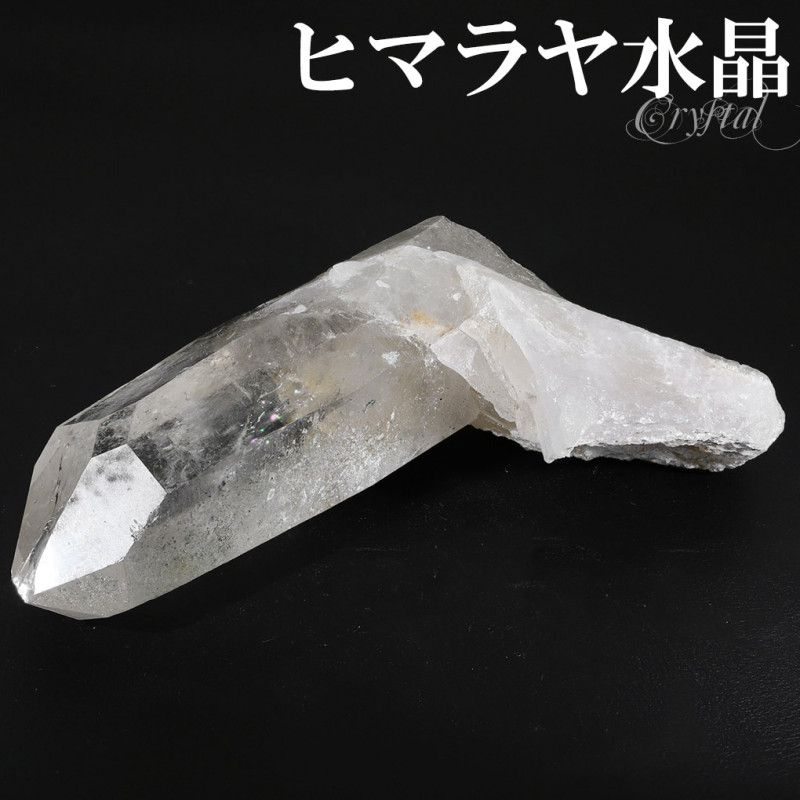 徽 饹 ҥޥ   ޥʥ 56g 徽饹 ҥޥ徽 ҥޥ仺  ŷ ѥȡ  ŷ徽   ʪ  ɸ ʪ ƥꥢ ҥޥ徽饹 饹徽 徽  ץ쥼 ͵