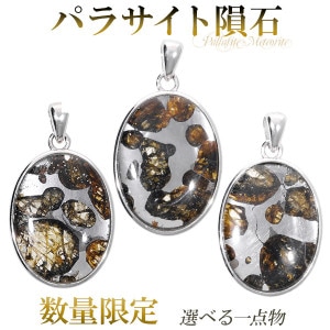 �ѥ饵���� ��� ��ƥ��饤�� ����С� �ڥ����ȥȥå� ���̸��� ���٤� ����ʪ ŷ���� �ѥ���ȡ��� �ڥ����� ���� ���������꡼ �إå� �ȥå� ��ƥ��饤�ȥڥ����� ��Хڥ����� �ѥ饵������� ��Ŵ��� ŷ���Хڥ����� ���� �ץ쥼��� �͵�
