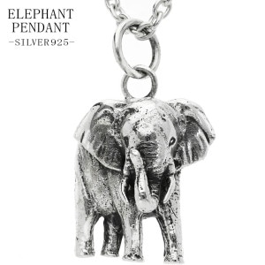  С ڥ ͥå쥹 ڥȥȥå  ưʪ ʪ ˥ޥ å ꡼ ꥢ  Ū ƥ եꥫ  ǥ      ǰ ץ쥼 ͵  С925 ڥȥ㡼