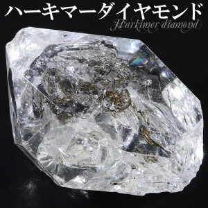 �ϡ����ޡ���������� ���� ��10.8g ��γ ŷ���徽 ��������ɥ������� �徽 �ϡ����ޡ���������ɸ��� ��ʪ ���� ɸ�� ����ƥꥢ ��ʪ �������� �������� ���å����ꥹ���� �ϡ����ޡ� ������ 4�� ���� �ץ쥼��� �͵� �ϡ����ޡ��徽 �ɥ꡼�९�ꥹ����