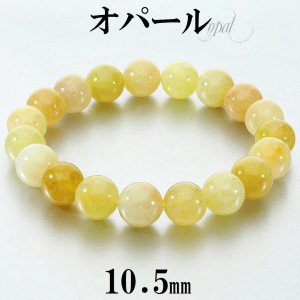 ���ѡ��� �������� �֥쥹��å� 10.5mm 18.5cm ��� L ��ǥ����� LL ������ �ϥˡ����ѡ��� �����������ѡ��� ���ѡ���֥쥹��å� ŷ���� �ѥ���ȡ��� ���� ���� 10�� ������ ��¤�� �Ż��� ������ �Хʥʥ��ѡ��� �����������ѡ���֥쥹��å� �ץ쥼��� �͵�