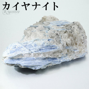 ������ʥ��� ���� ��529g ����ʥ��� ������ʥ��ȸ��� ŷ���� �ѥ���ȡ��� ��ʪ ���� ɸ�� ������ ��ʪ ����ƥꥢ ŷ���и��� �ѥ���ȡ����� �� �֥롼 ���� �ץ쥼��� �͵� �֥롼������ʥ��� �ҡ���� ľ���� ��¤��