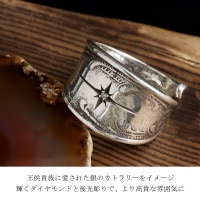 amp japan アンプジャパン NCAJ-204 ダイヤモンド カトラリー リング