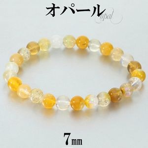 ���ѡ��� �֥쥹��å� 7mm 17.5cm ��� M ��ǥ����� L ������ �ץ쥷�㥹���ѡ��� ���ѡ���֥쥹��å� ŷ���� �ѥ���ȡ��� ���� ���� �������� �� ����� 10�� ������ ���� ���� ��˥��å��� ��ǰ�� ������ �ץ쥼��� �͵� ������� ��¤�� �Ż��� ������