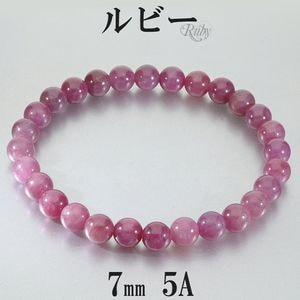��ӡ� �֥쥹��å� 5A ���졼�� 7mm 19cm ��� L ��ǥ����� LL ������ ��ӡ��֥쥹��å� ŷ���� �ѥ���ȡ��� ���� ���� 7�� ������ ��å� �� �ѥ���ȡ���֥쥹��å� ���� ���� ��˥��å��� ������ �ץ쥼��� �͵� ������� �ȶ� ������ �򹯱� 5A��