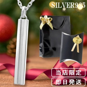 シンプル ライン シルバーネックレス 人気 ブランド 芸能人 メンズ ネックレス シルバー925 男性用 ペンダント メンズネックレス 男性用|メンズアクセサリー
