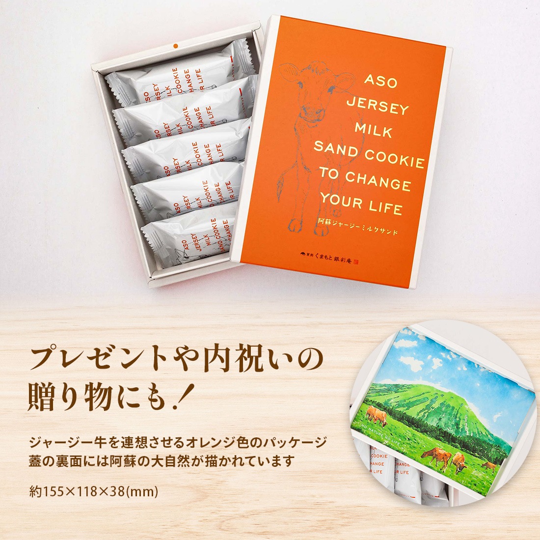 ޤȶ̰ ɥ㡼ߥ륯 5 ˤ ڻ   ȯ proper