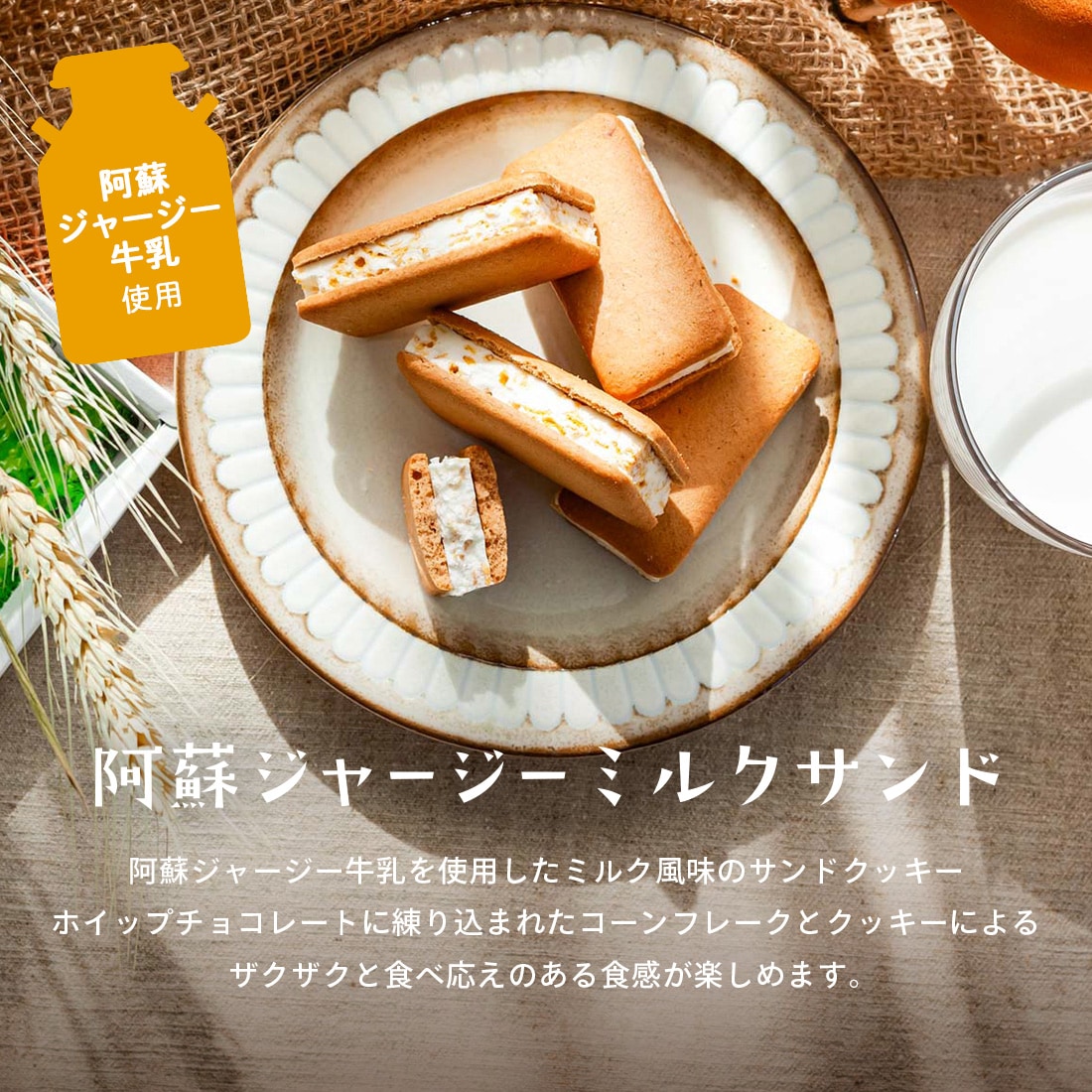 ޤȶ̰ ɥ㡼ߥ륯 10 ˤ ڻ   ȯ proper