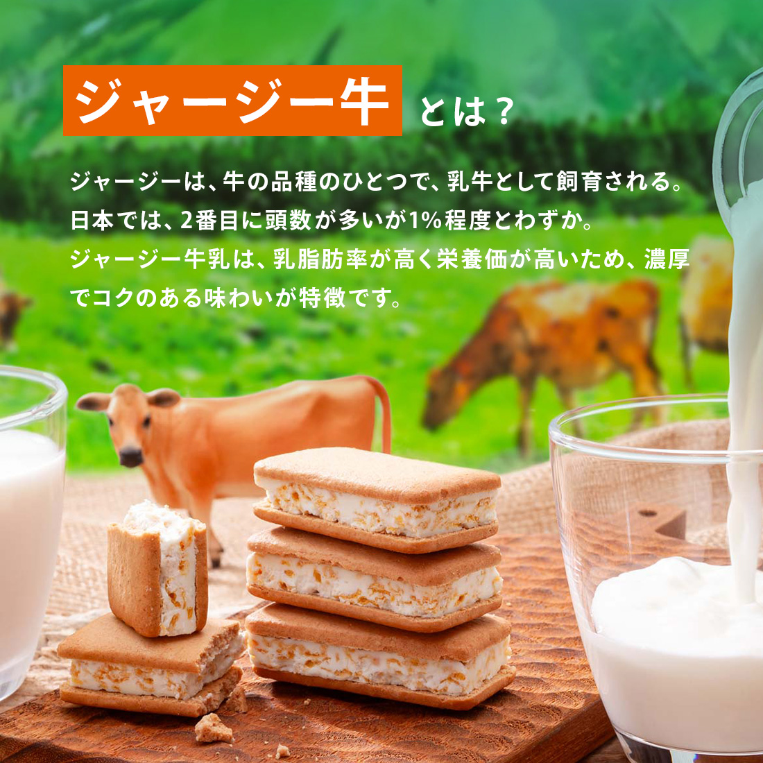 ޤȶ̰ ɥ㡼ߥ륯 10 ˤ ڻ   ȯ proper