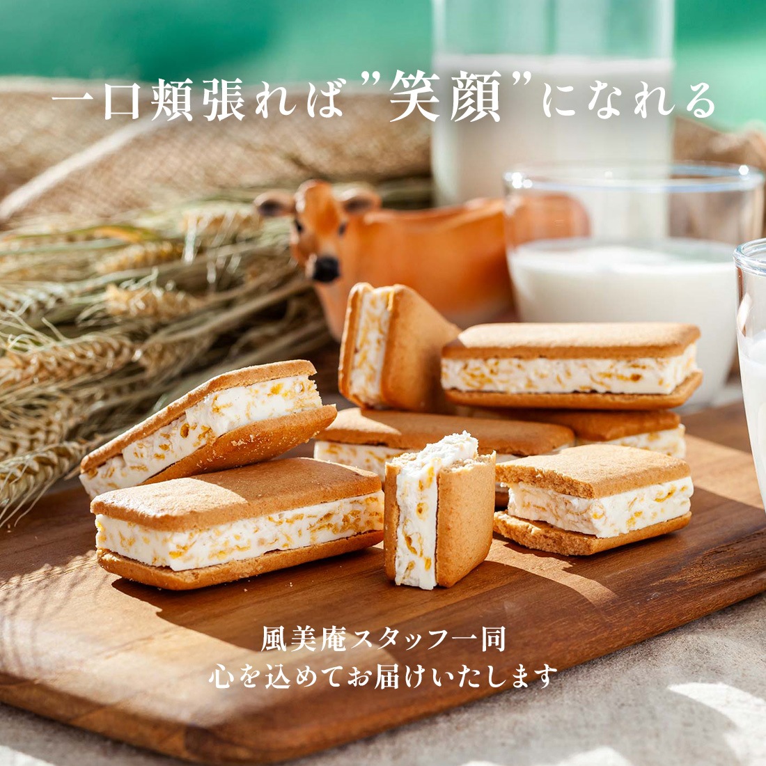 ޤȶ̰ ɥ㡼ߥ륯 10 ˤ ڻ   ȯ proper