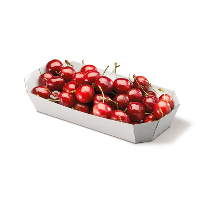 （ホワイトシリーズ）SH-1