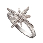 ≪Artemis Kings/アルテミスキングス≫ノーススターリング